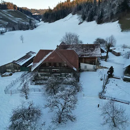 Emmental Ferien 公寓 *