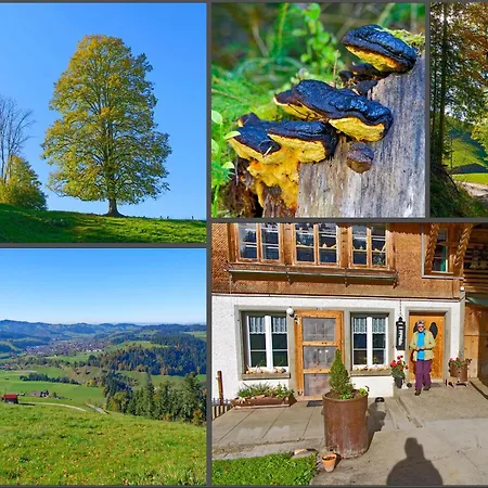 Apartment Emmental Ferien Langnau